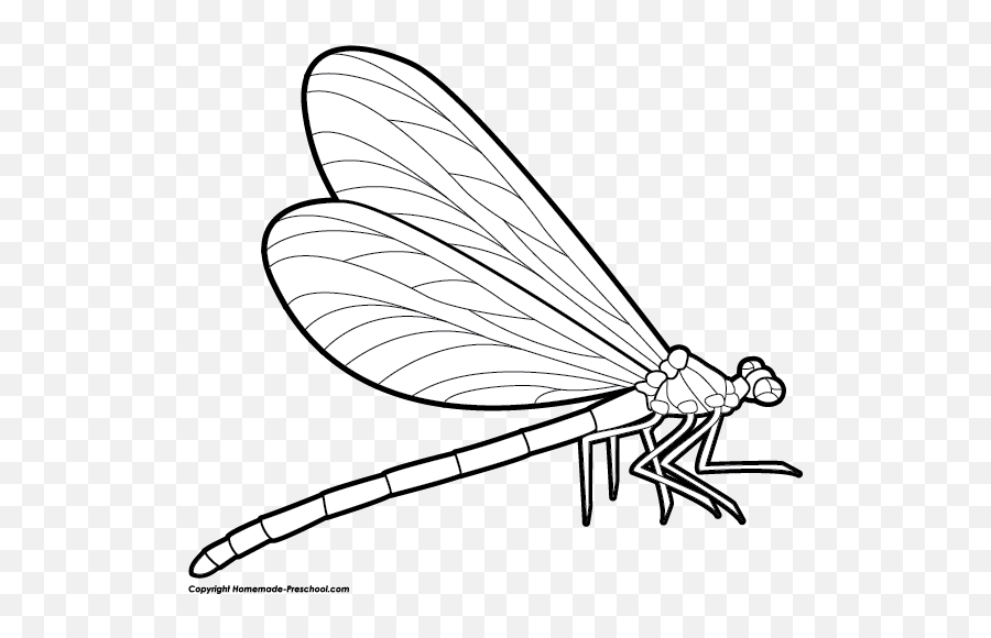 Download Free Dragonfly Image Png Clipart - Dragonfly Clip Art Black And White,Dragonfly Png