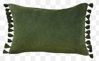 Shop Este Cushions - Green Cushion Nz Png,Cushion Png