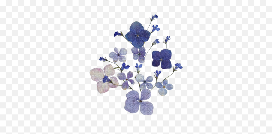 Vintageflowersfleurvictoriabea Violet - Violette Blue Blue Dried Flowers Png,Vintage Flowers Png