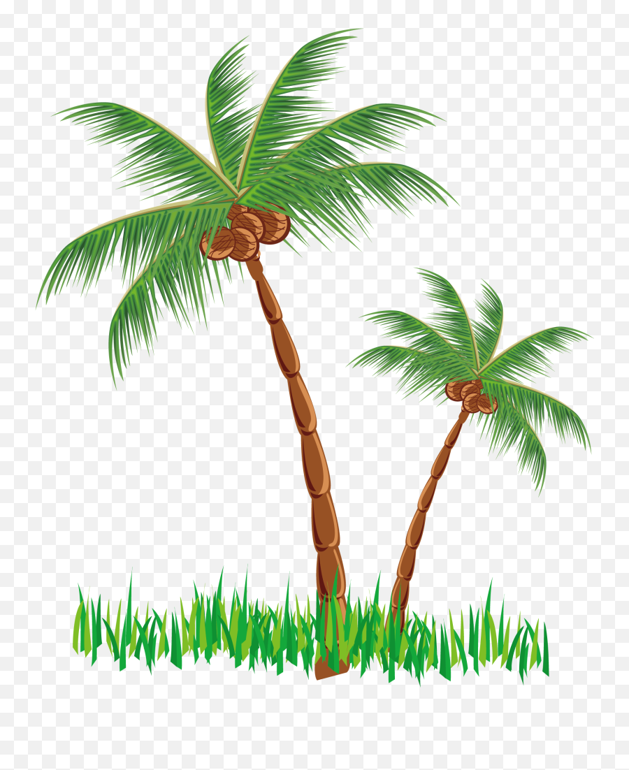 Clipart Coconut Tree Vector - Clip Art Coconut Tree Png,Palmeras Png