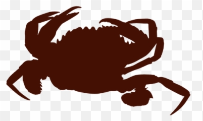 Blue Crabyellowbackground800boat Wells Crab House Crab Png Free Transparent Png Image Pngaaa Com