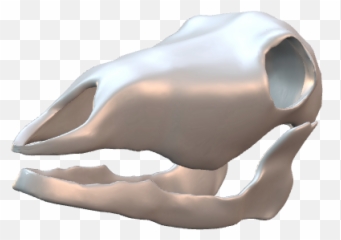 P3d - Titanium Ring png