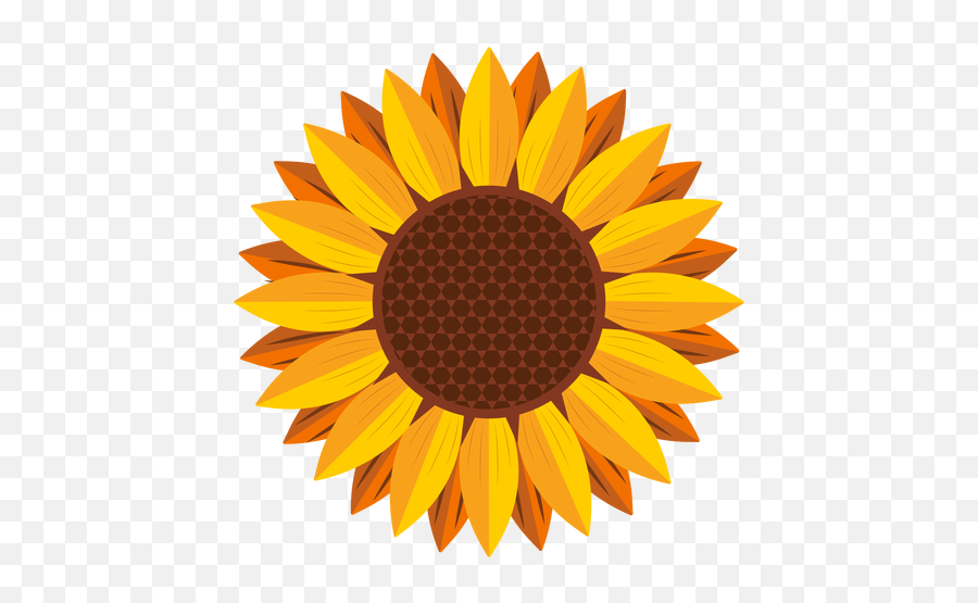 Sunflower Logo Png Picture - Sunflower Vector,Sunflower Logo