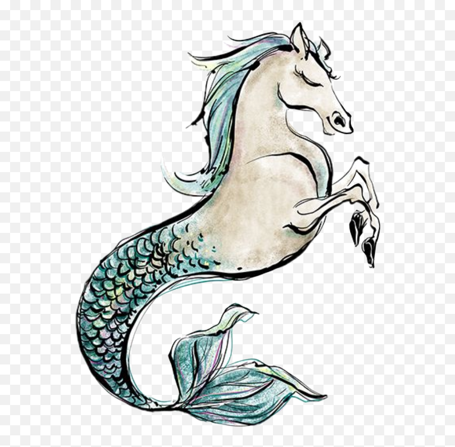 Watercolor Seahorse Mermaid Merman Horse Clipart Scales - Mermaid Horse Png,Mermaid Scales Png