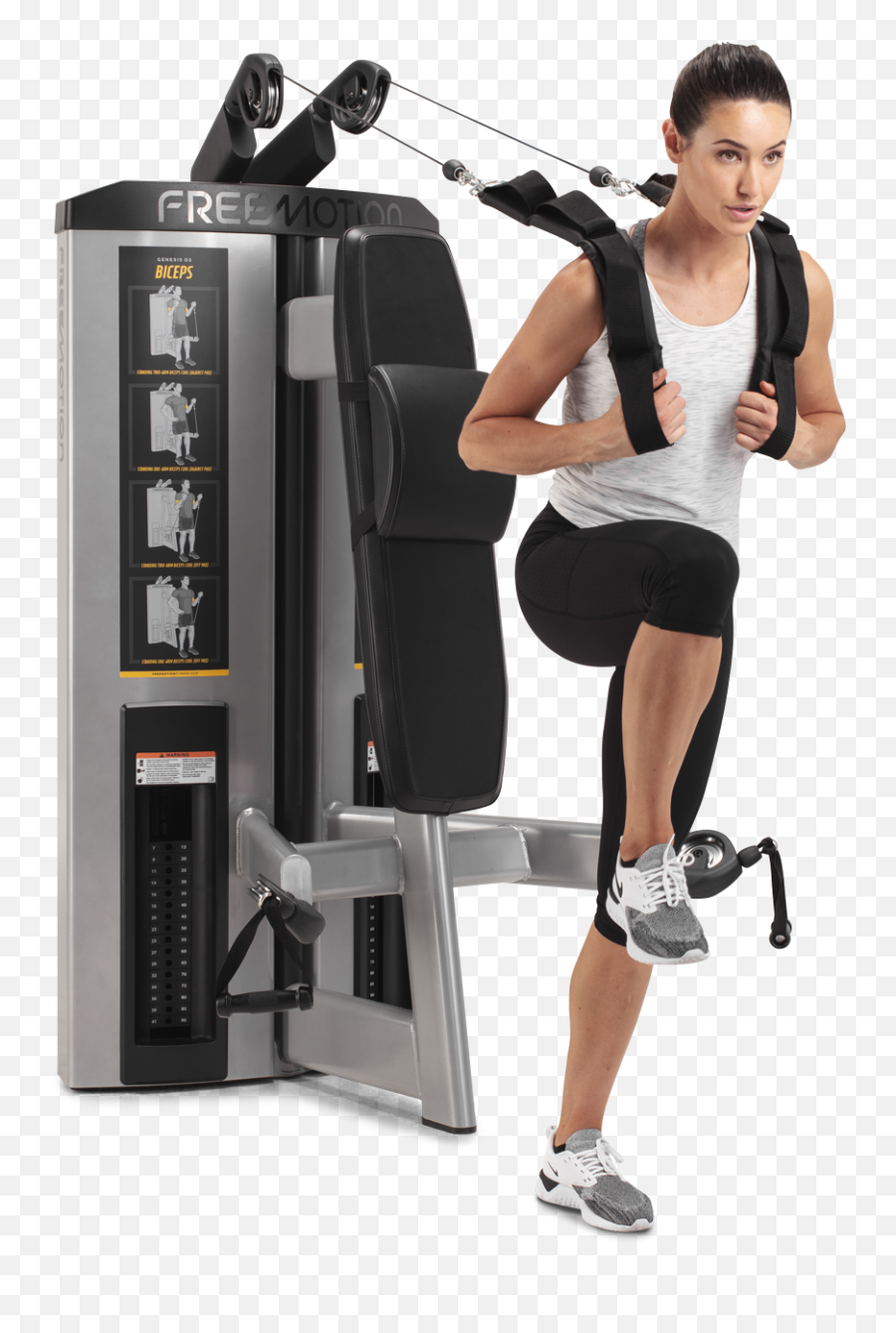 Abdominalbiceps Genesis Ds Strength U2039 Freemotion Fitness - Biceps Curl Png,Bicep Png