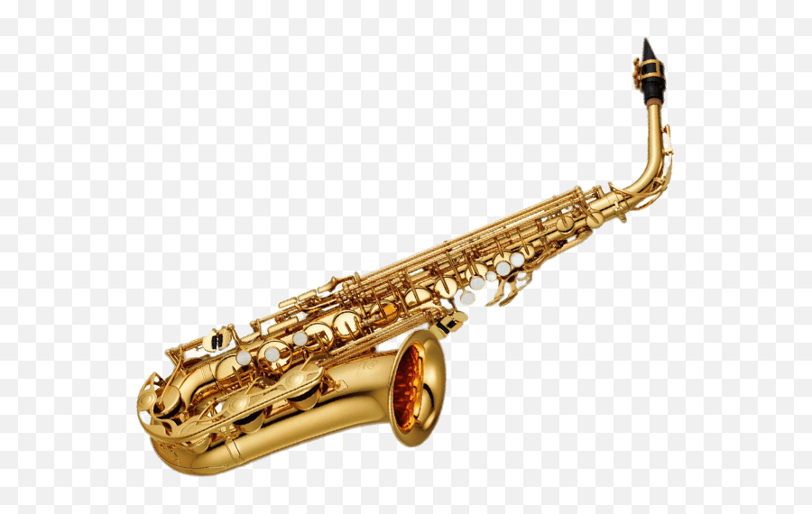 Infinite Woodwinds - Ranges U2014 Aaron Venture Realistic Png,Sax Png