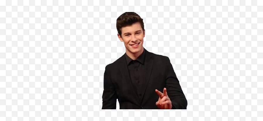 Shawn Mendes Transparent - Shawn Mendes Transparent Background Png,Shawn Mendes Png