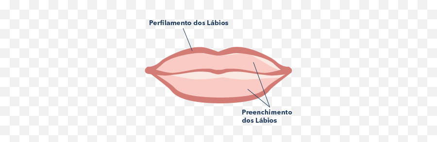 Perfilamento E Preenchimento Dos Lábios U2013 Attica Clinic - Tongue Png,Labios Png