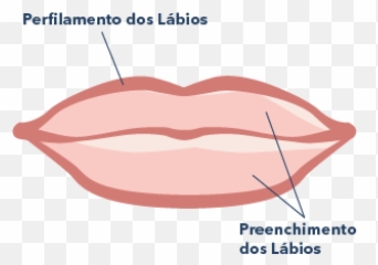 Perfilamento E Preenchimento Dos Lábios U2013 Attica Clinic - Tongue Png,Labios Png