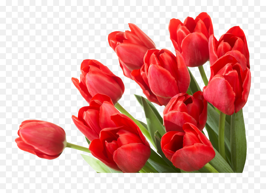 Bouquet Flowers Png - Tulip Flower Png,Spring Flowers Png