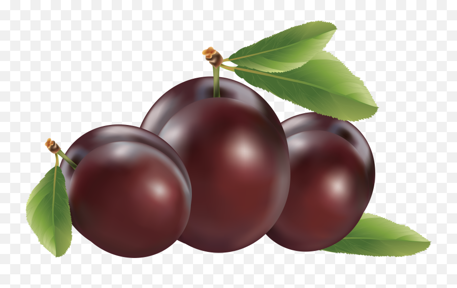 Plum Icon Png - Plums Clipart,Plum Png