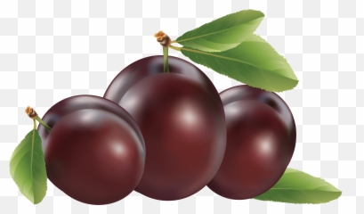 Plum Icon Png - Plums Clipart,Plum Png