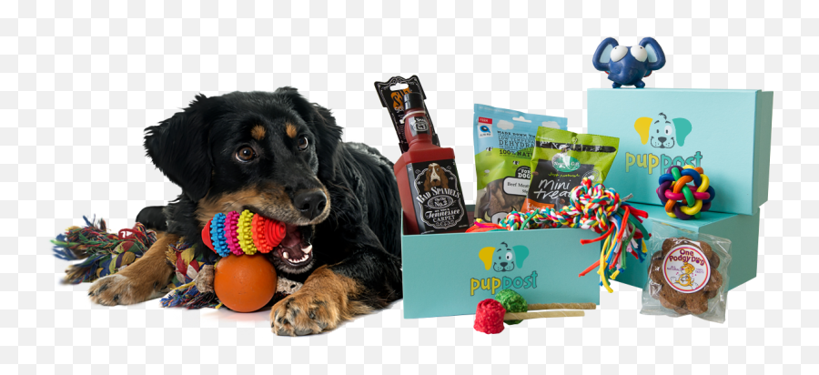Monthly Dog Toys Treats Buy - Dog Toy Png,Dog Toy Png