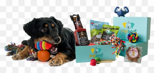 Monthly Dog Toys Treats Buy - Dog Toy Png,Dog Toy Png