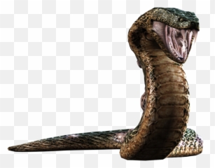 Download Resident Evil Snake Png - The 1 Yawn
