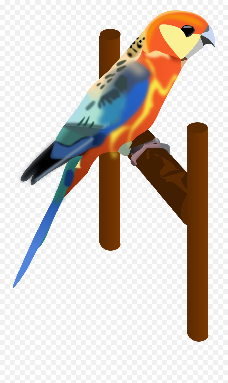 A Parrot Public Domain Vectors - Pet Birds Png,Macaw Icon