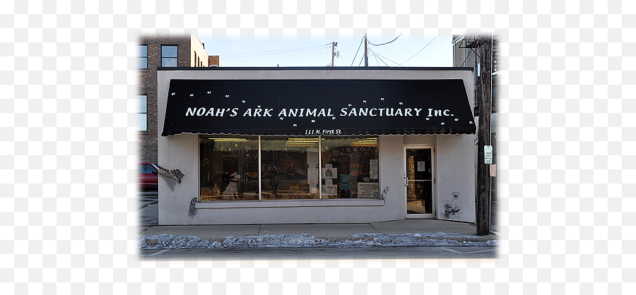 Welcome - Ark Animal Sanctuary Rockford Il Png,Ark Ts Icon