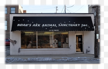 Welcome - Ark Animal Sanctuary Rockford Il png