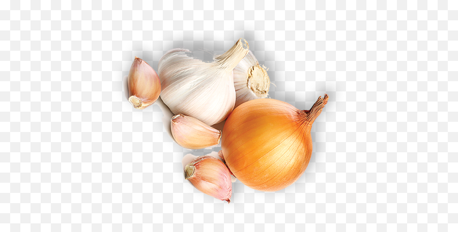 Onion - Shallot Png,Onion Png