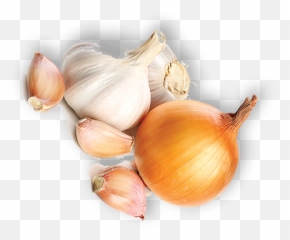 Onion - Shallot Png,Onion Png