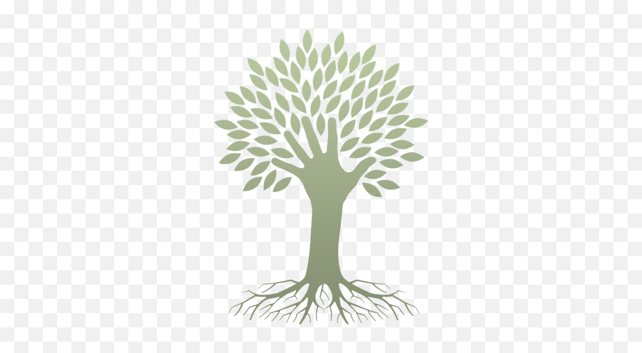 Img - Treeicon De Melo Chiropractic Referral Tree Png,Icon Chiropractic