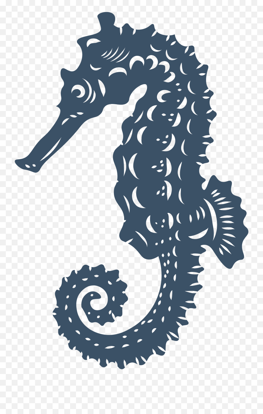 Gallery - Atlantic Bay Resort Northern Seahorse Png,Seahorse Icon