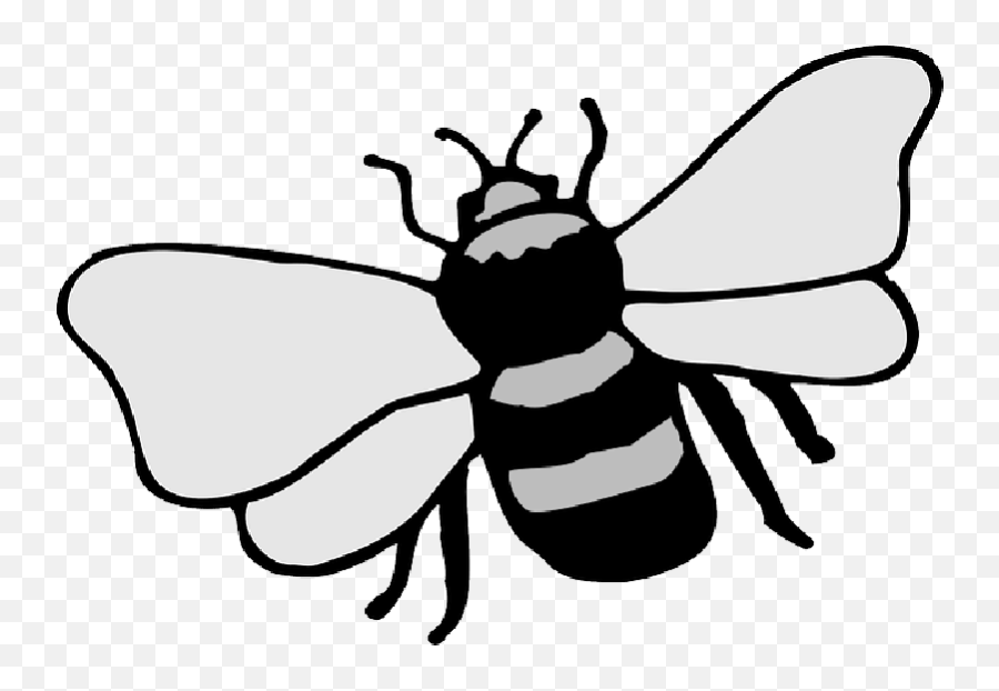 Simple Cartoon Bee Stripes Wings Art Insect - Public Bumblebee Drawing Png,Cartoon Bee Png