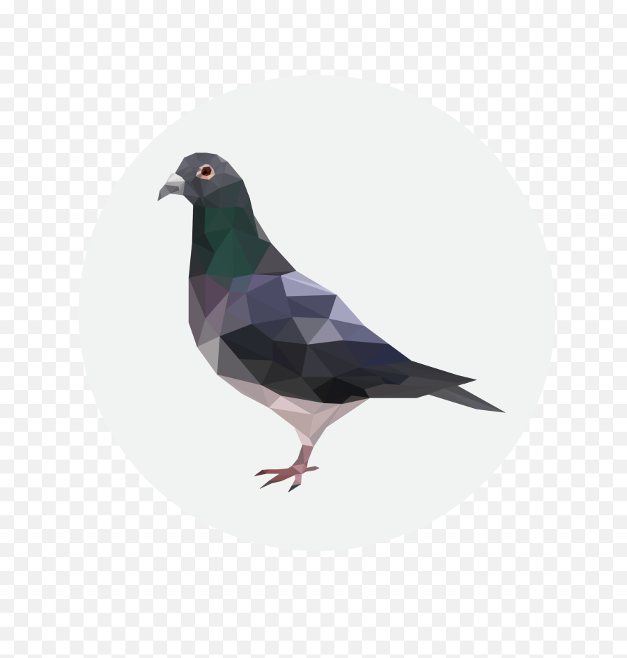 Download Results - Critical Role Metagaming Pigeon Png Image Pigeon Stickers,Pigeon Png