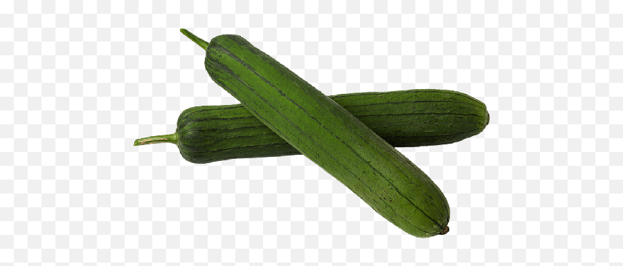 Long Sponge Gourdloofah 250g - Cucumber Png,Gourd Png