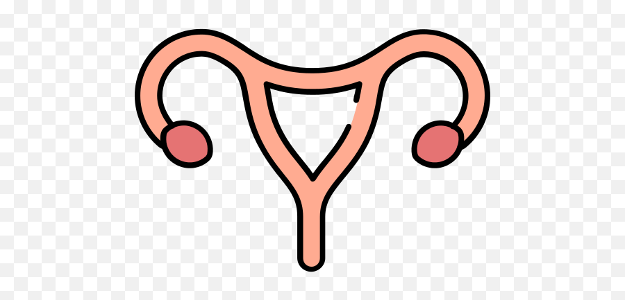 Uterus Png Icon - Female Reproductive System Icon,Uterus Png