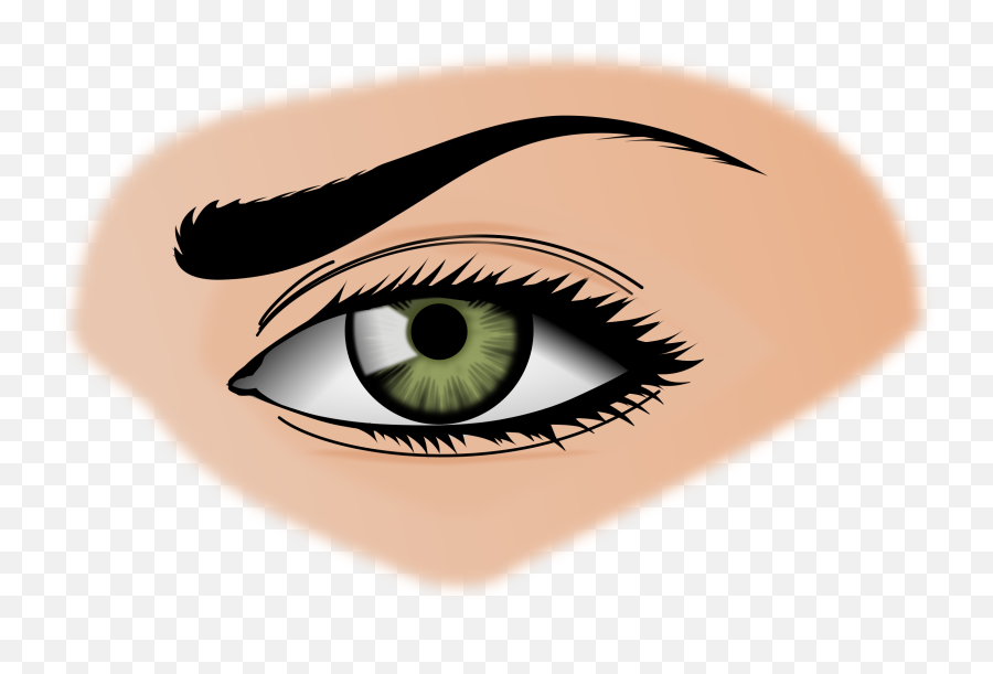 Png Clipart Eyes - Eye Clipart,Eyebrows Png