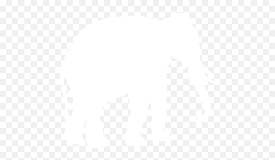 White Elephant Icon - Animal Icon Png White,White Elephant Png