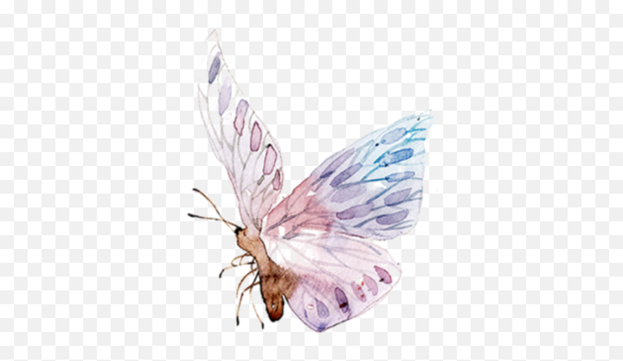 Butterfly Freetoedit Ftestickers Wings - Transparent Watercolor Pastel Butterfly Png,Watercolor Butterfly Png