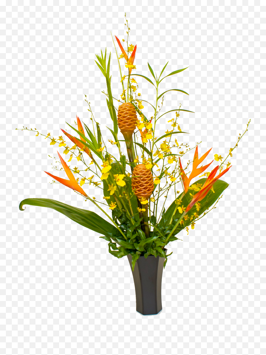 Tropical Flowers Plant Png Clipart - Floral Design,Flower Plant Png