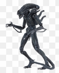 Download Alien Warrior Ultimate - Alien Warrior Ultimate Neca Png,Xenomorph Transparent