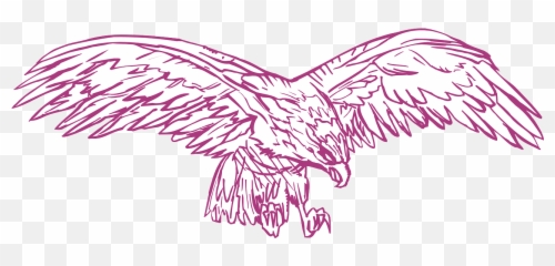 Spread Eagle Bird Wings Hunting - Birds png