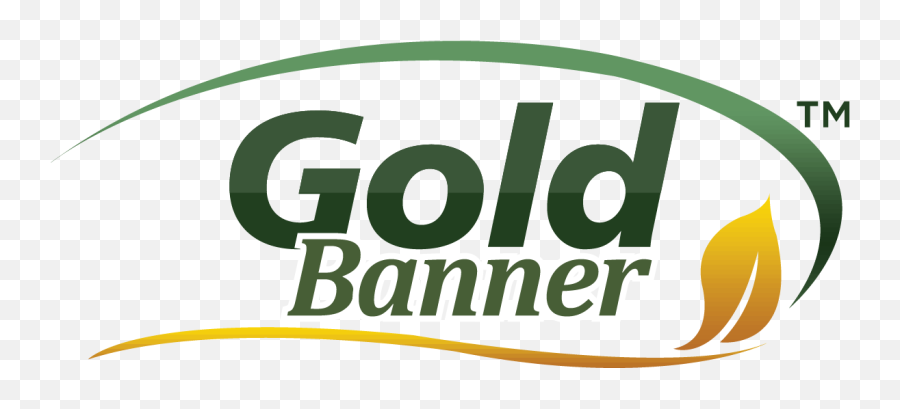 Gold Banner - Graphic Design Png,Gold Banner Png