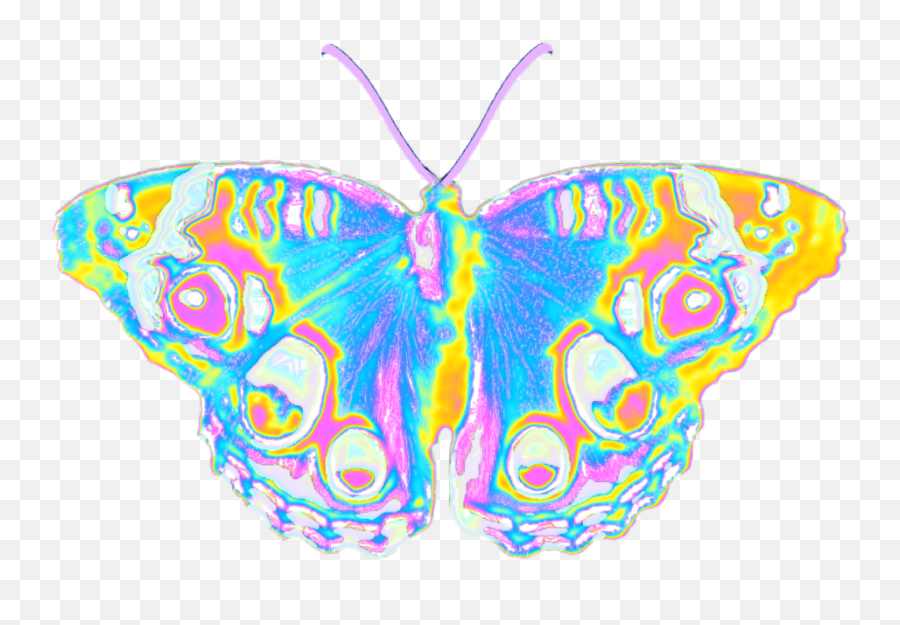 Aesthetic Butterfly Emoji Wallpaper - Holographic Butterflies Aesthetic Png,Butterfly Emoji Png