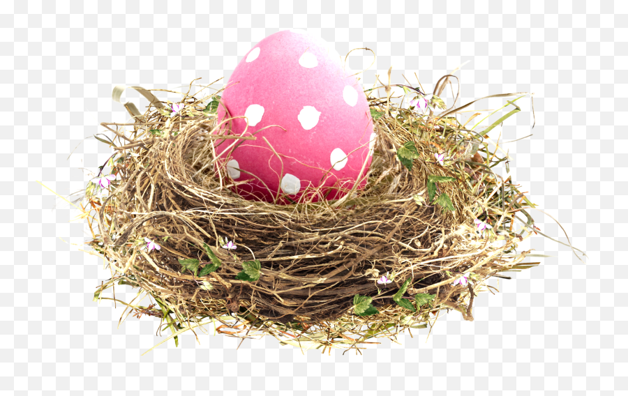 Easter Transprent Png Free Download Egg - Birds Nest Full Easter Nest Png,Nest Png
