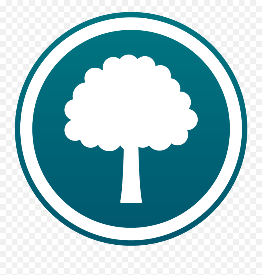 Download Tree Program Icon - Blue Transparent Tree Icon Png,Program Icon