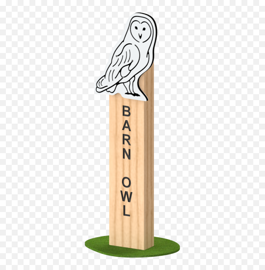 Barn Owl Animal Faces A E Evans - Solid Png,Barn Owl Icon