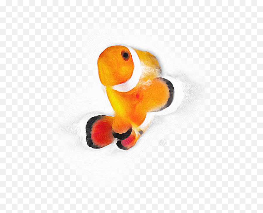 Clownfish No 02 Bath Towel - Ocellaris Clownfish Png,Clownfish Icon