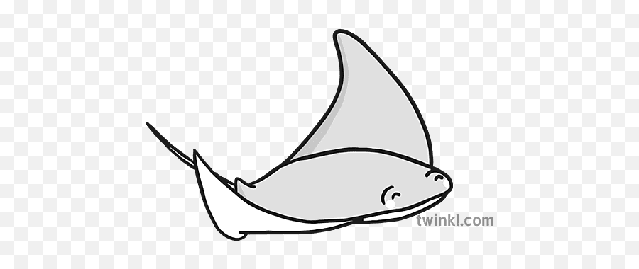 Manta Ray Baru Hitam Putih Illustration - Twinkl Sea Animal Shape Poem Template Png,Manta Ray Icon