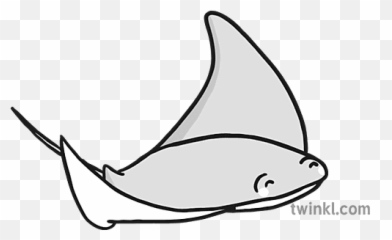 Manta Ray Baru Hitam Putih Illustration - Twinkl Sea Animal Shape Poem Template png
