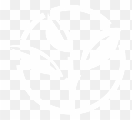 Sparkling Green Tea U2013 8th Wonder - Automotive Decal png