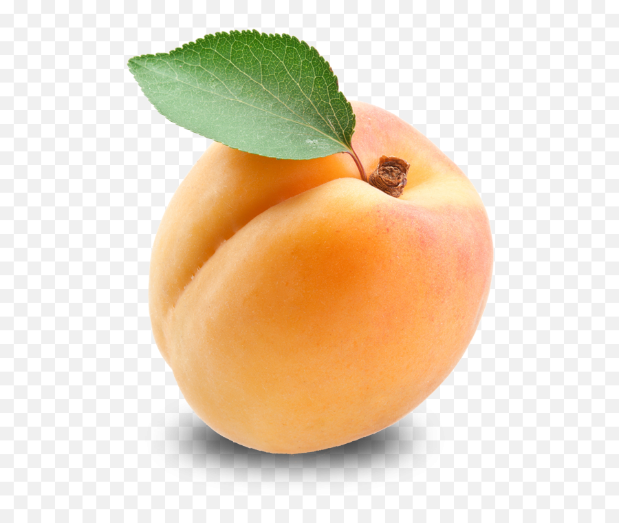 Apricot Icon 30584 - Web Icons Png Abricot Png,Apricot Icon