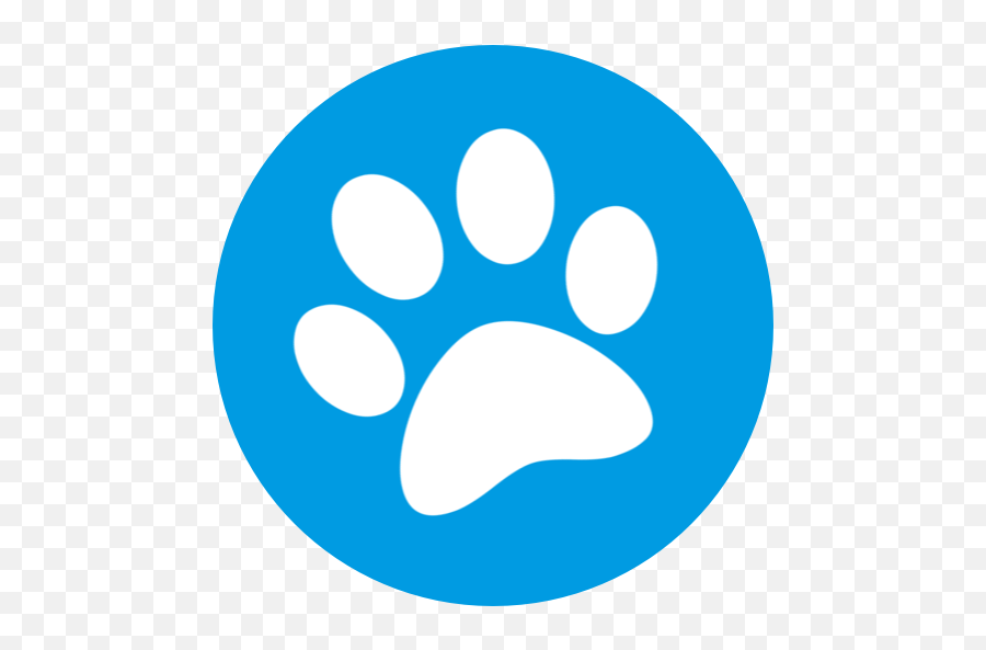 Privacy Pounce - Vector Graphics Png,Popularity Icon