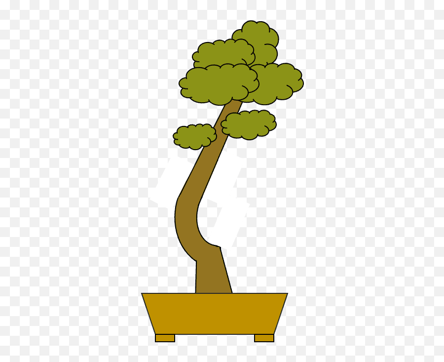 The Ultimate Bonsai Style Chart With Pictures Details Png Tree Icon