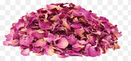 Dried Rose Petals Online - Transparent png