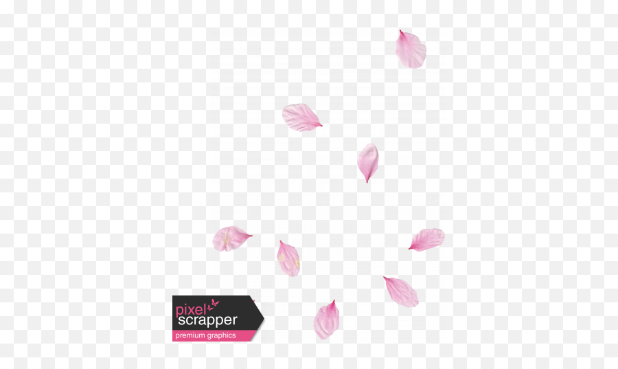Pink Flower Scatter 02 Graphic By Gina Jones Pixel - Heart Png,Pink Petals Png